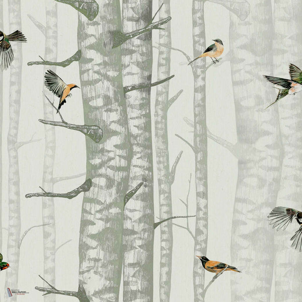 Birch Trees behang in Silvester van Coordonne