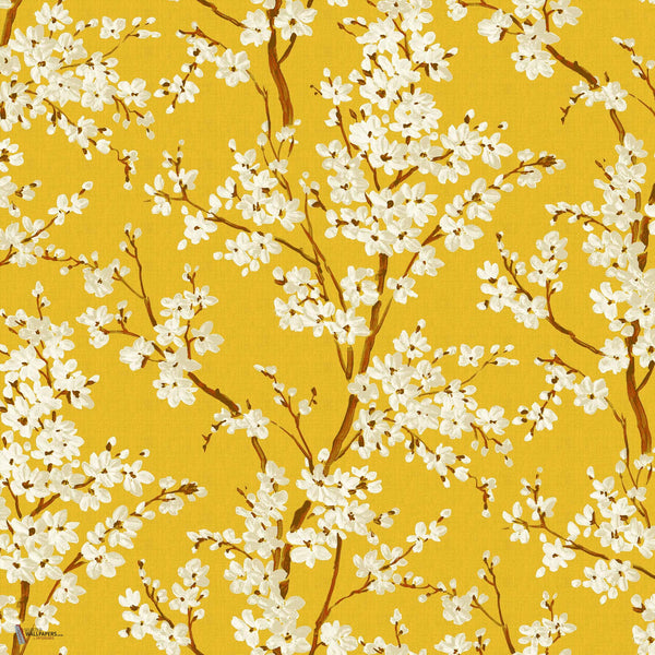 Cherry Blossom behang in Amber van Coordonne