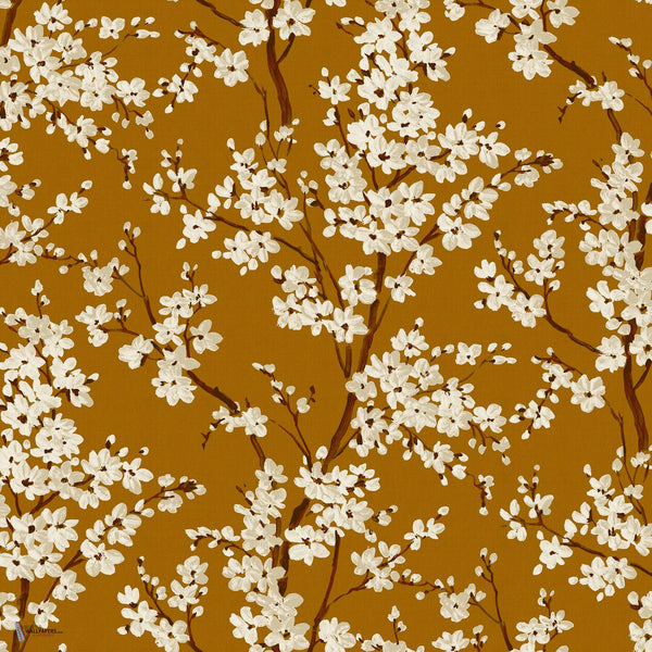 Cherry Blossom behang in Honey van Coordonne