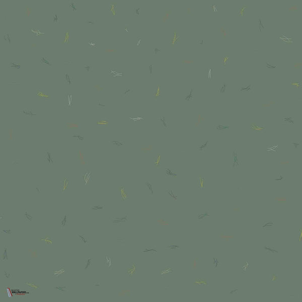 Ciszak Dalmas - Algae wallpaper wallpaper in Tropical by Coordonne