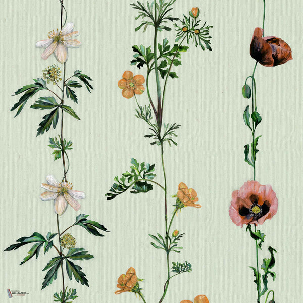 Climbing Flowers wallpaper in Melon by Coordonne