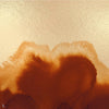 Coral Reefs Metallics behang in Gold van Coordonne