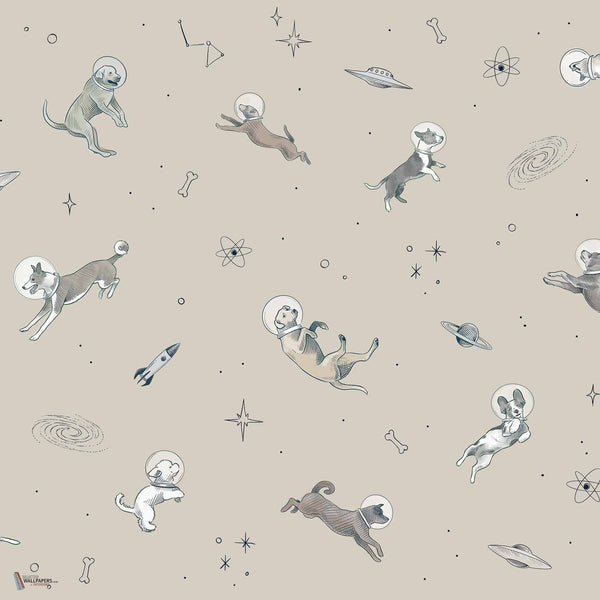 Doggy Gravity Tapete in Cream von Coordonne