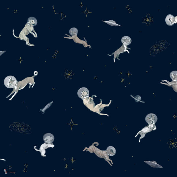 Doggy Gravity Tapete in Night von Coordonne