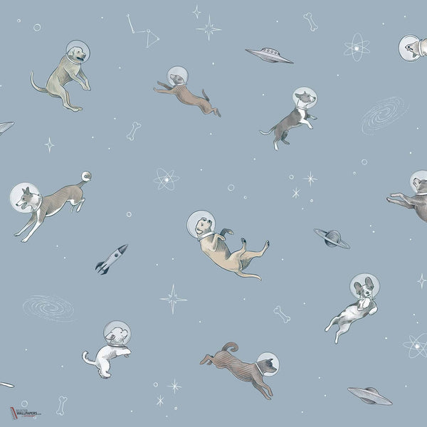 Doggy Gravity Tapete in Sky von Coordonne