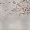 Eolia Metallics behang in Silver van Coordonne