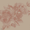 Giant Peonies wallpaper in Nude by Coordonne