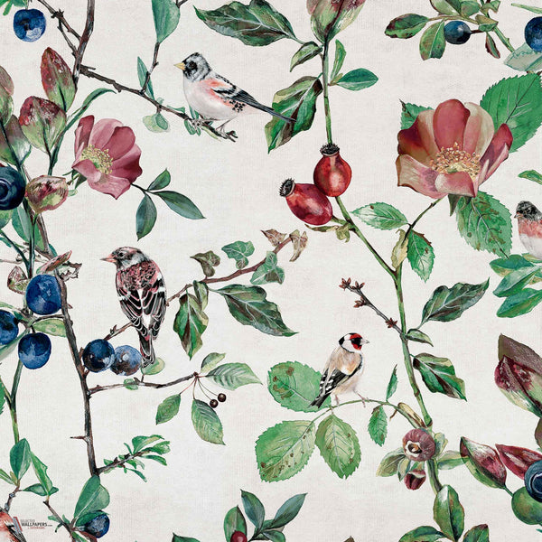 Goldfinch Song behang in Cotton van Coordonne