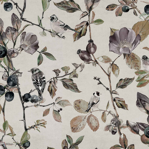 Goldfinch Song behang in Pear van Coordonne