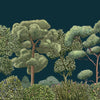 Green Forest wallpaper in Midnight by Coordonne
