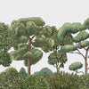 Green Forest wallpaper in Natural by Coordonne