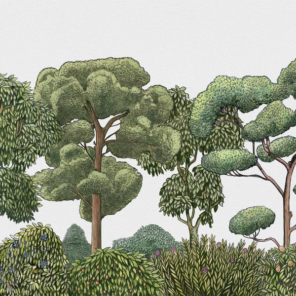 Green Forest wallpaper in Natural by Coordonne