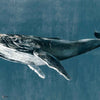 Humpback Whale wallpaper in Vintage by Coordonne