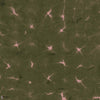 Kanoko wallpaper in Moss by Coordonne