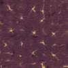 Kanoko wallpaper in Prune by Coordonne