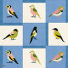 Like A Bird Tapete in Blue von Coordonne