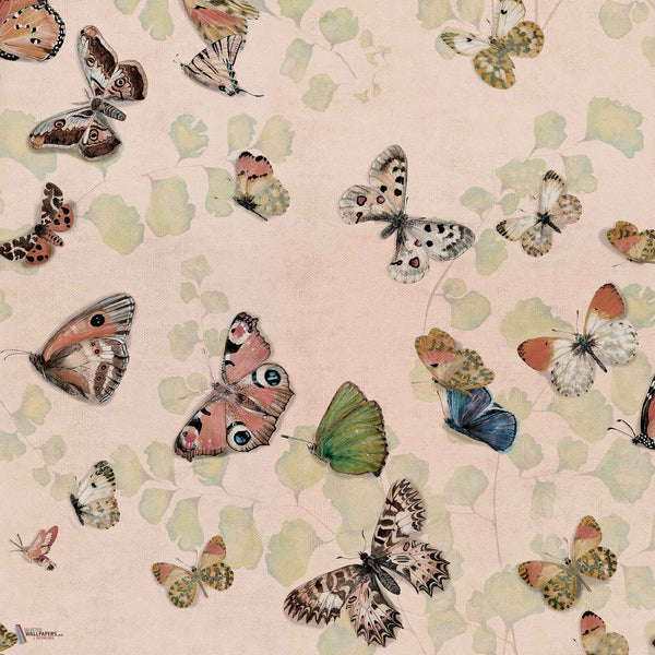 Magic Butterflies Tapete in Sweet von Coordonne