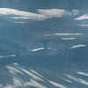 Marine XRay Metallics behang in Silver van Coordonne