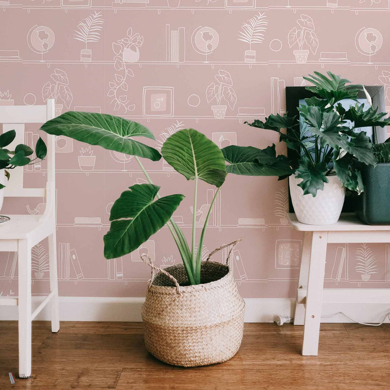 My Library wallpaper in Pinky by Coordonne