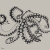Octopus X-Ray wallpaper in Ink by Coordonne