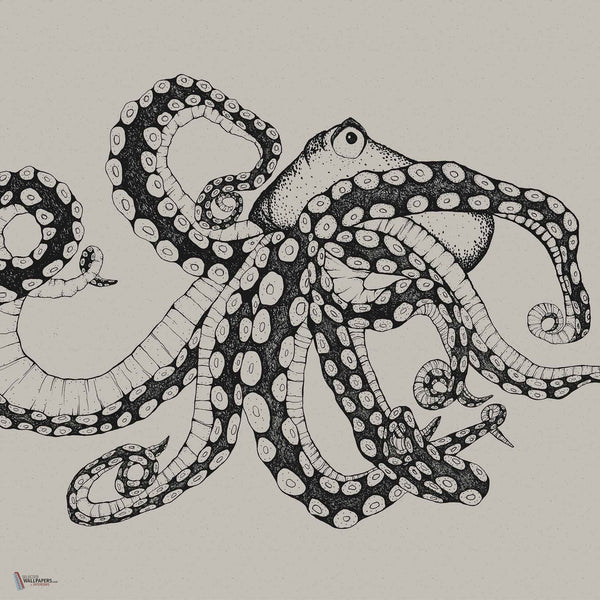 Octopus X-Ray wallpaper in Ink by Coordonne