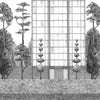Pascua Ortega - Urban Garden Tapete in Black & White von Coordonne