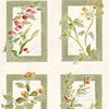 Sta Cruz Tapete in Celadon von Coordonne