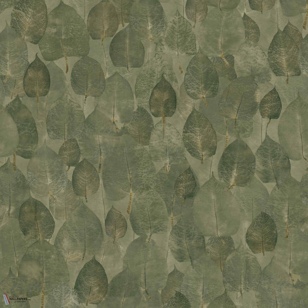 Suman Tapete in Pistachio von Coordonne