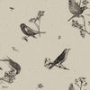 Sweet Birds Tapete in Black von Coordonne