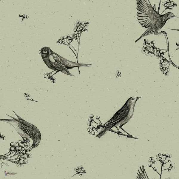 Sweet Birds Tapete in Matcha von Coordonne