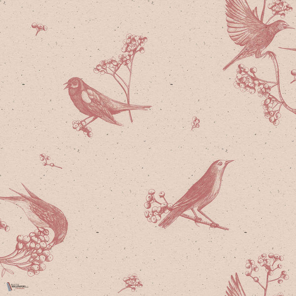 Sweet Birds Tapete in Rose von Coordonne