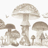 Sweet Forest Tapete in Stone von Coordonne