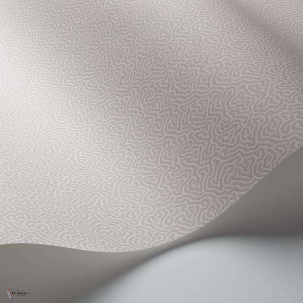 Coral behang van Cole & Son