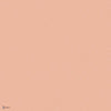 Coral behang in Coral van Cole & Son