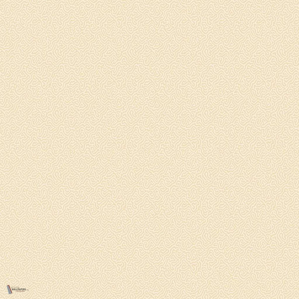 Coral behang in Cream van Cole & Son