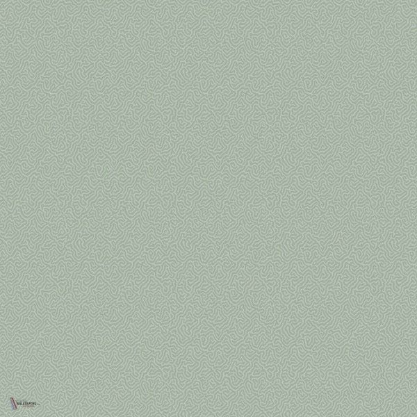 Coral behang in Dark Duck Egg van Cole & Son