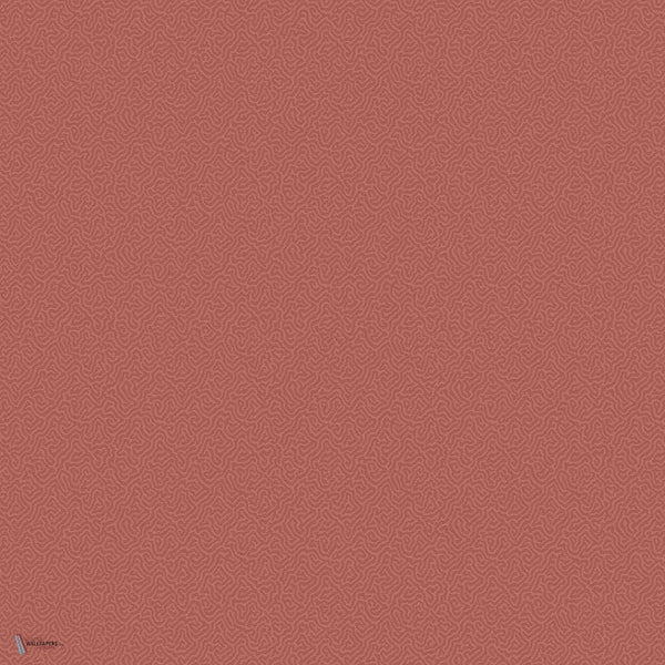 Coral behang in Red van Cole & Son
