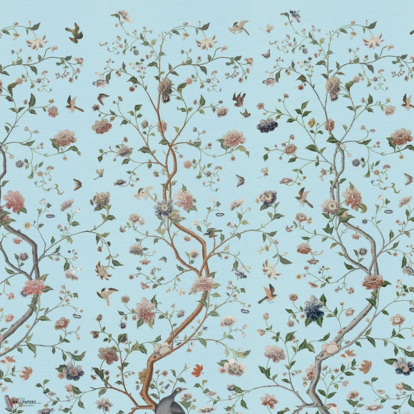 Costerman's Garden papel pintado de Iksel — Sky, detail