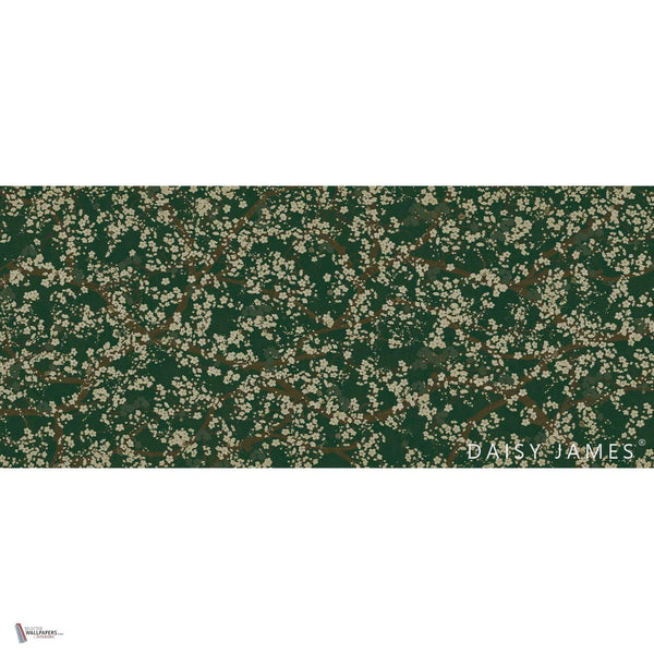 The Hana behang in Green van Daisy James