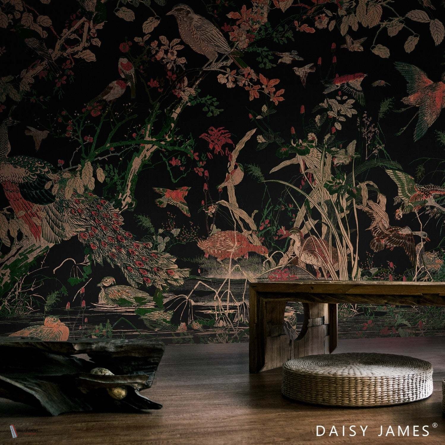 Daisy James Vinyl
