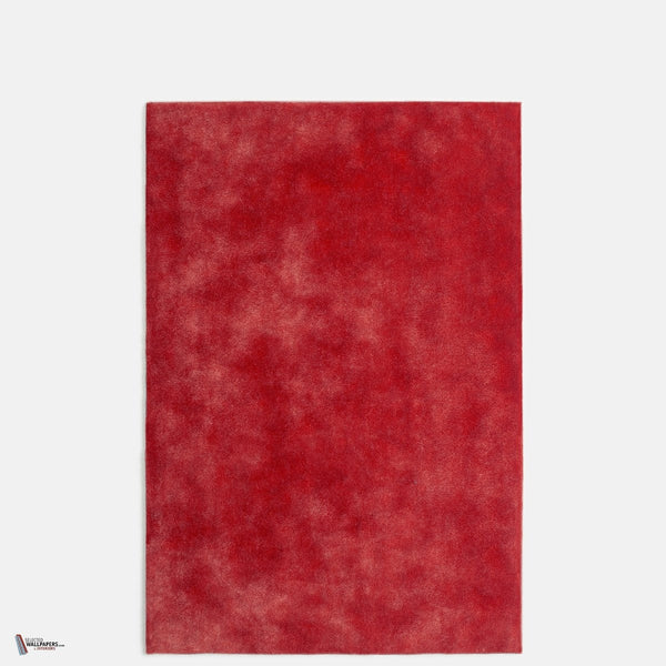 Nuvolari Stofff in Rosso von Dedar