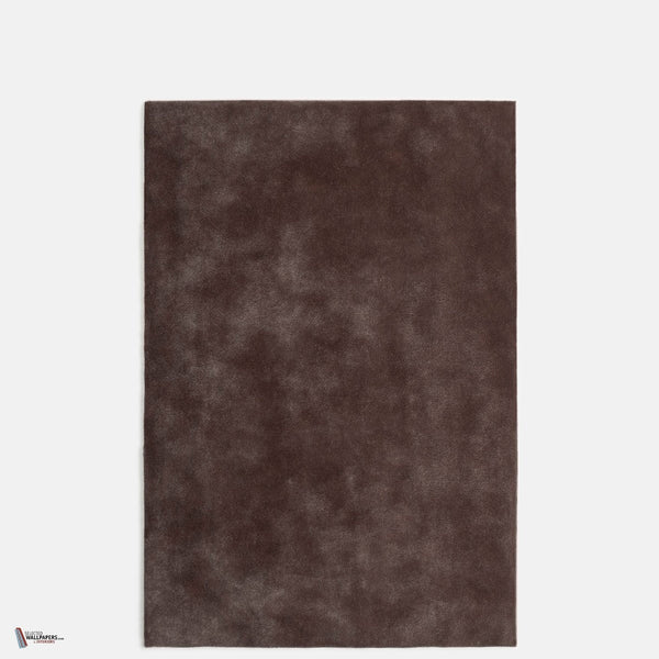Nuvolari Stofff in Taupe von Dedar