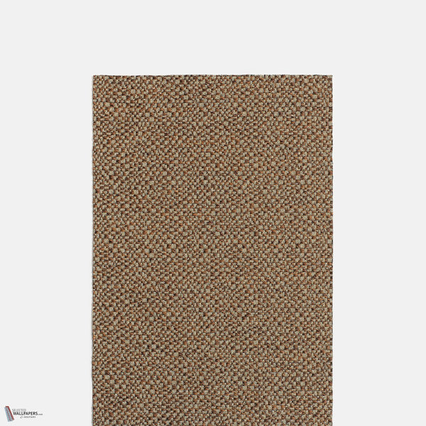 Verray Parfit Gentil Knyght fabric in Bronzo by Dedar