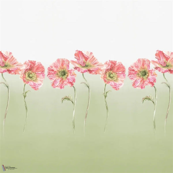 Coquelicot wallpaper in Sage by Designers Guild