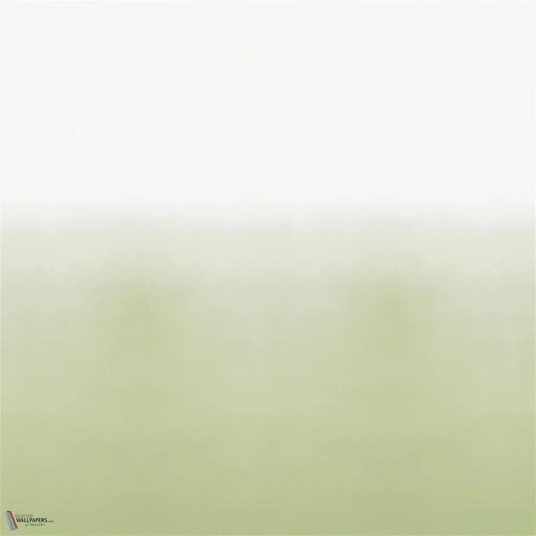 Coquelicot Ombre Tapete in Sage von Designers Guild