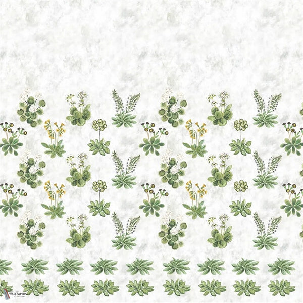 Primevere Tapete in Sage von Designers Guild