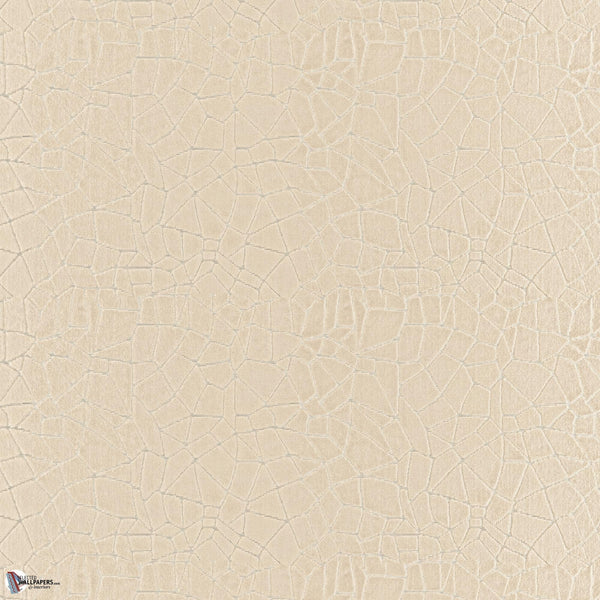 Grunge Tapete in Beige von Dutch Walltextile Company