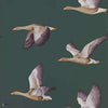 Elysian Geese wallpaper in Amsterdam Green van Sanderson