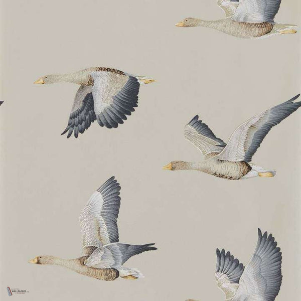Elysian Geese wallpaper in Gilver van Sanderson