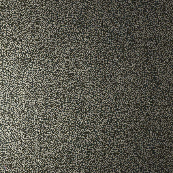 Emile behang in Jet van 1838 wallcoverings